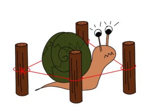 Grote slak laat geen anderen dichtbij haar.
